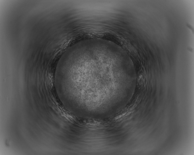 X0000091980772200709131411