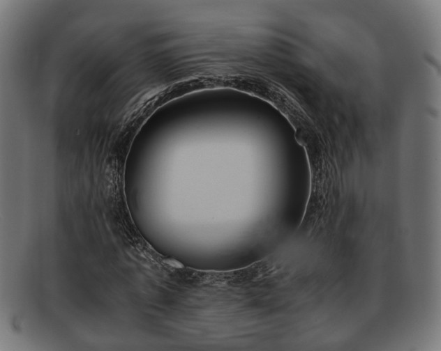 X0000091980773200709131411