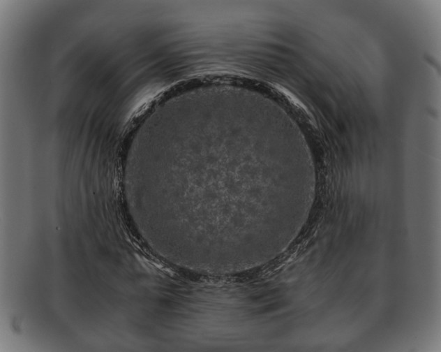 X0000091980775200709131411