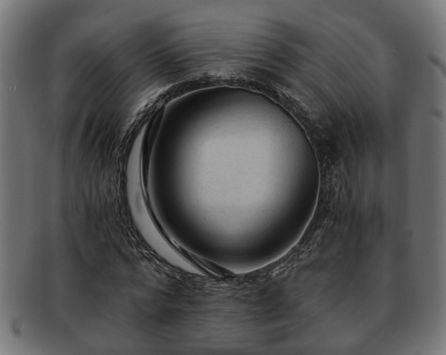 X0000091980776200709131411