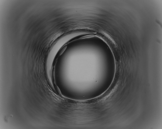 X0000091980777200709131411