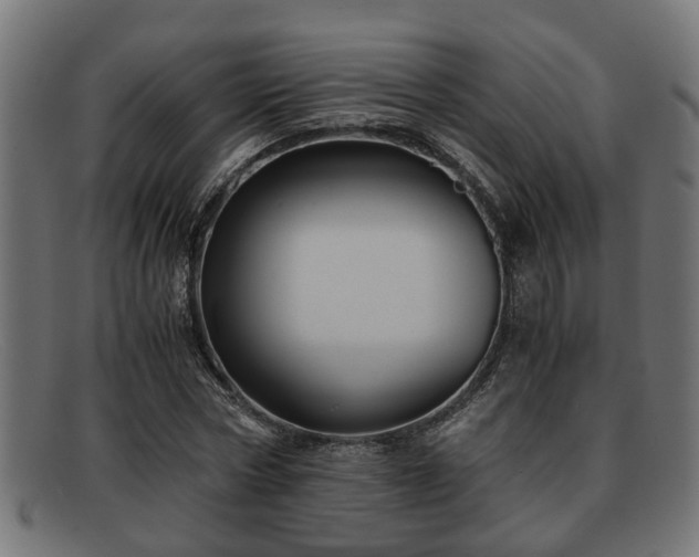 X0000091980778200709131411