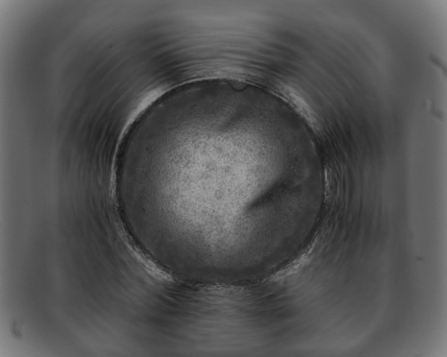 X0000091980780200709131411