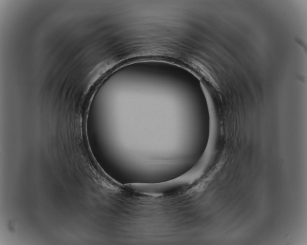 X0000091980781200709131411