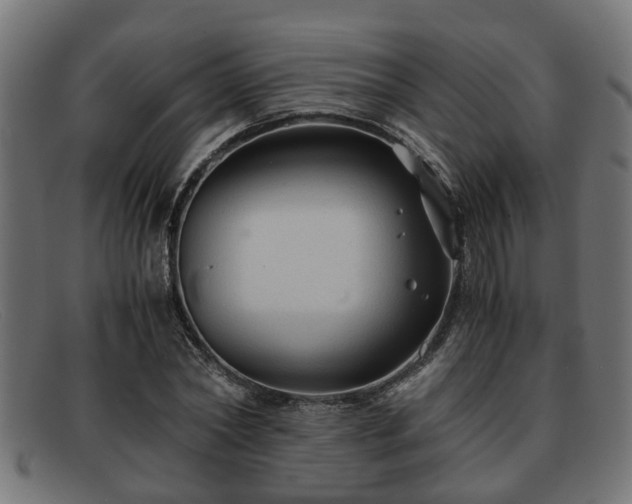 X0000091980782200709131411