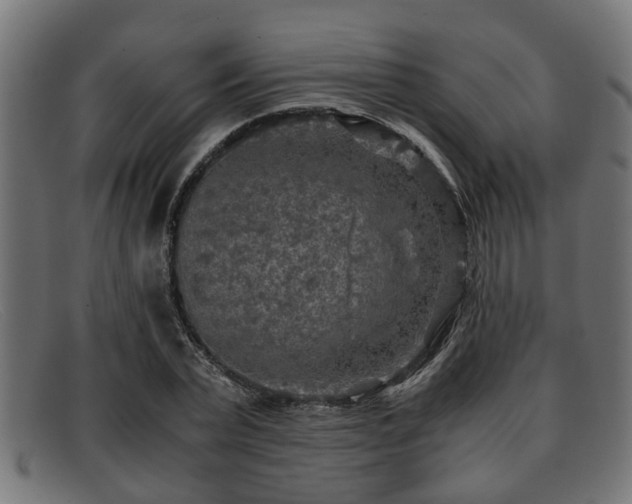 X0000091980783200709131411