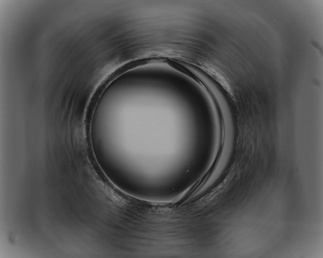 X0000091980784200709131411