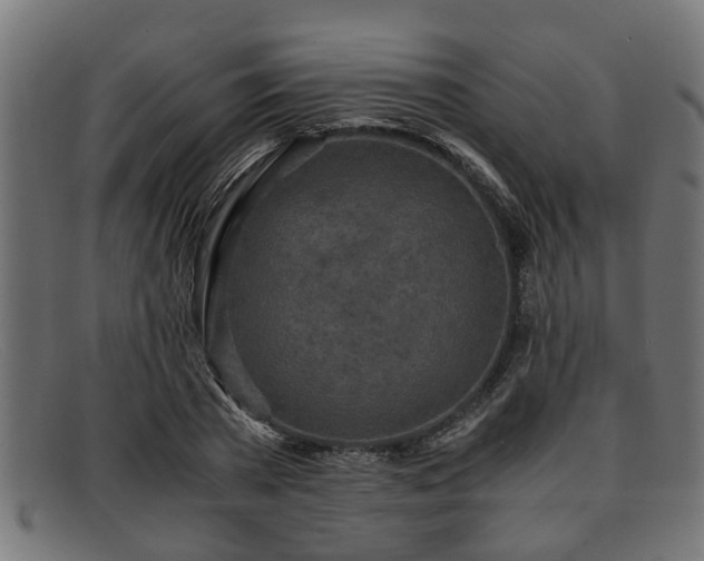 X0000091980785200709131411