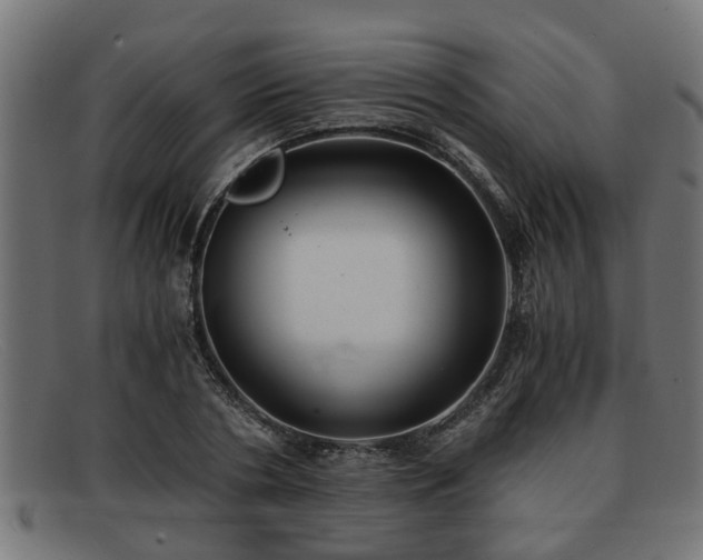 X0000091980786200709131411