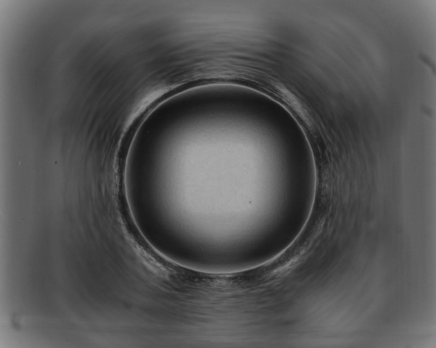 X0000091980787200709131411