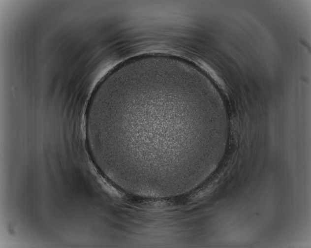 X0000091980791200709131411