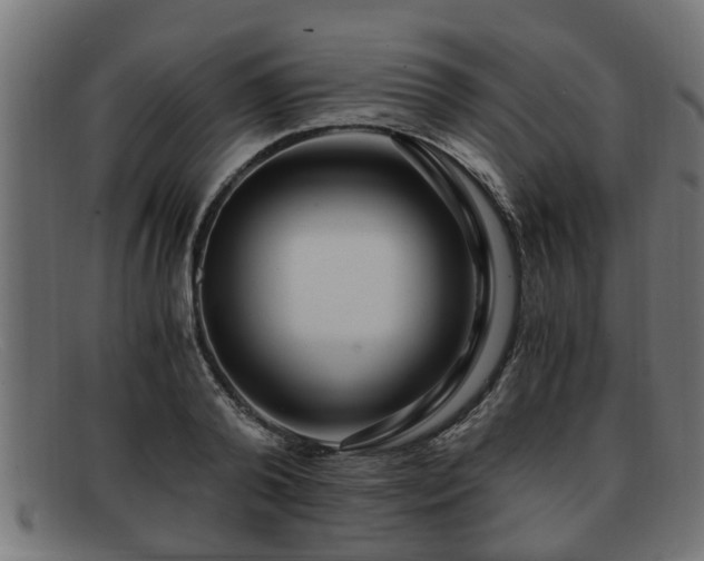 X0000091980792200709131411