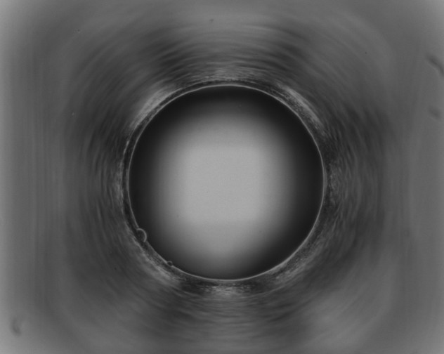 X0000091980794200709131411