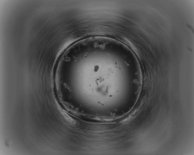 X0000091980795200709131411