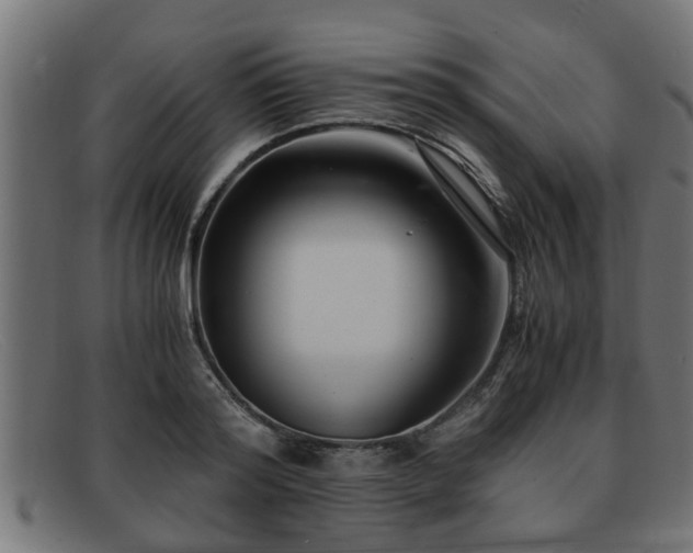 X0000091980796200709131411