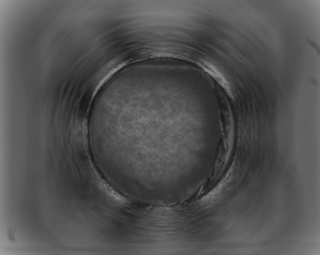 X0000091980798200709131411