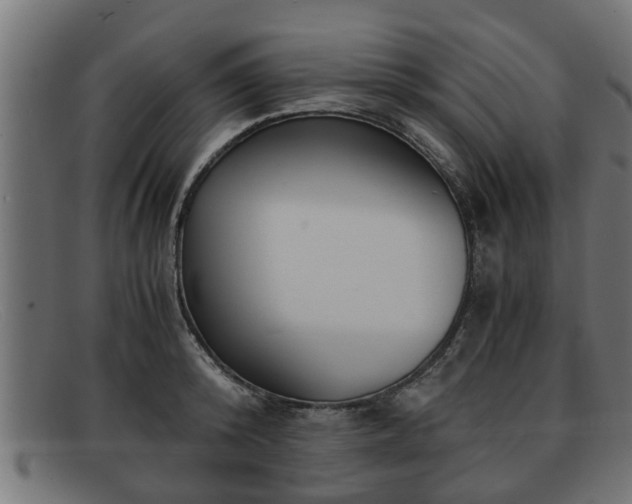 X0000091980800200709131411