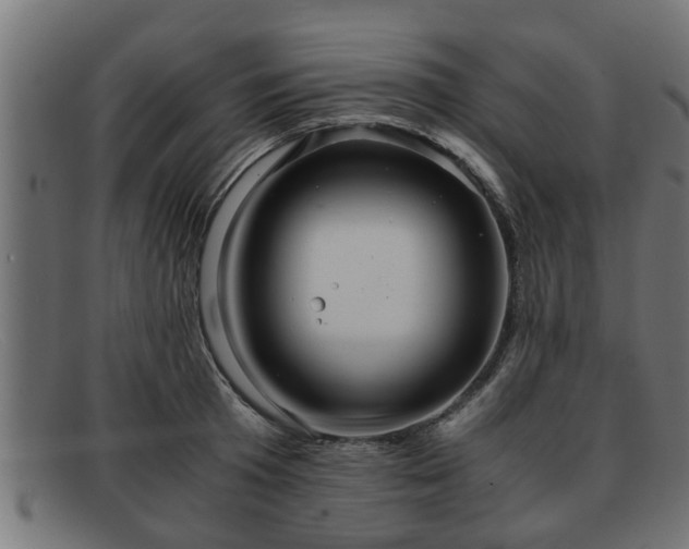 X0000091980801200709131411