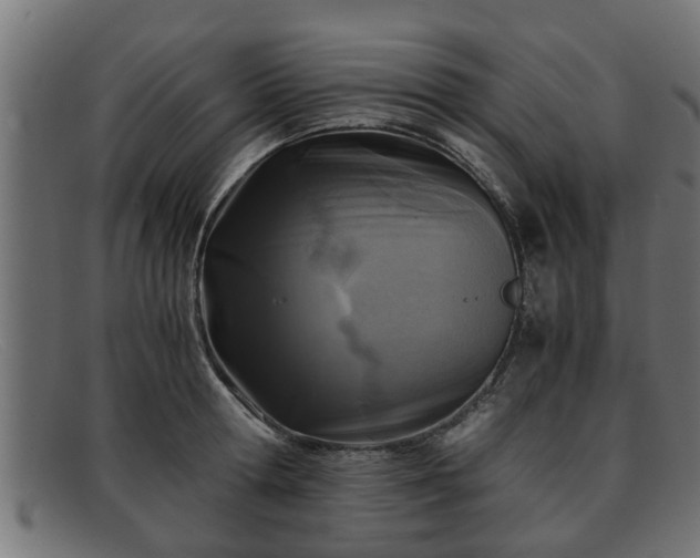 X0000091980802200709131411