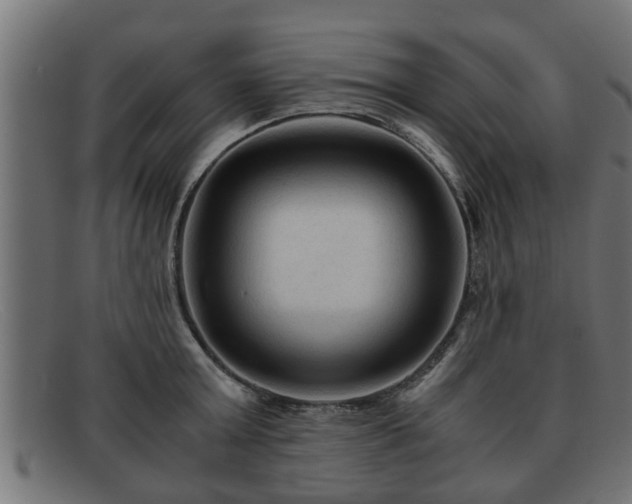 X0000091980803200709131411