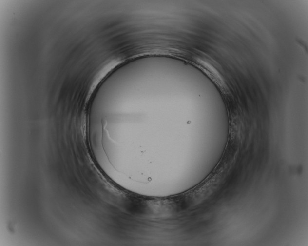 X0000091980804200709131411