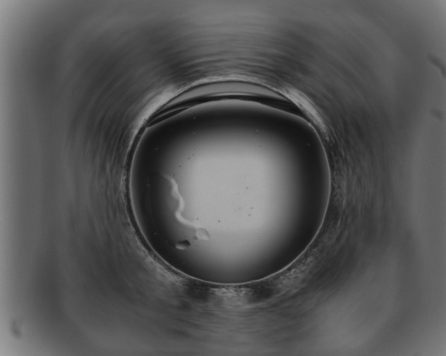 X0000091980805200709131411