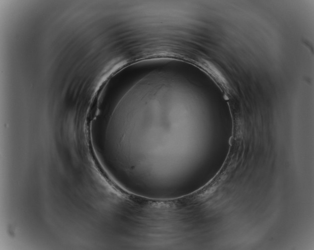 X0000091980806200709131411