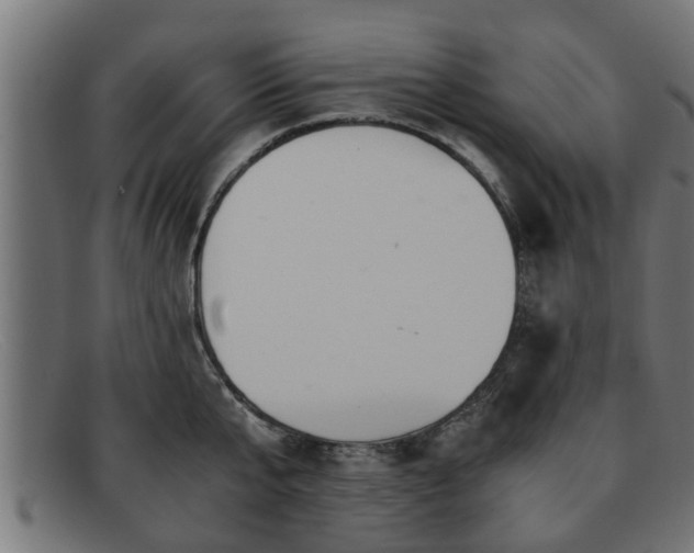 X0000091980807200709131411