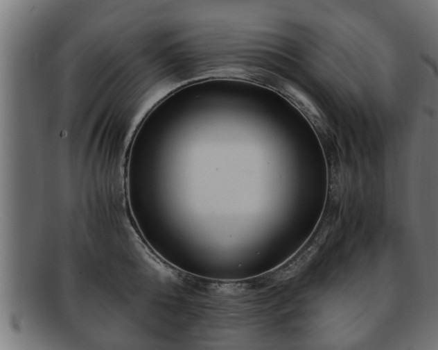 X0000091980808200709131411