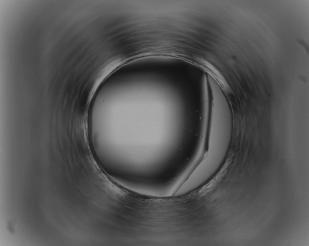 X0000091980812200709131411