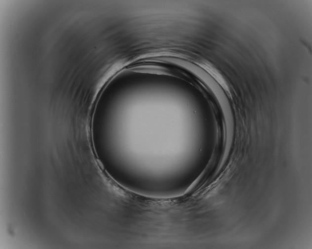 X0000091980813200709131411