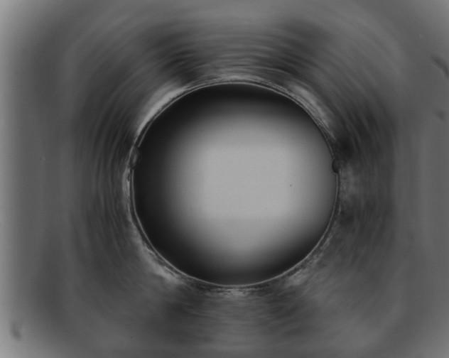 X0000091980814200709131411