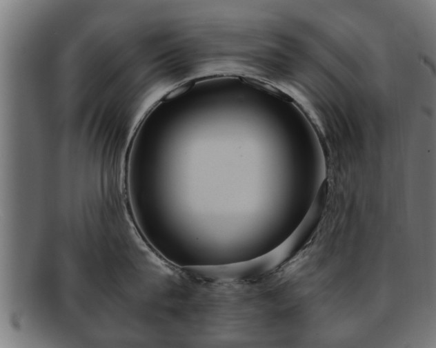 X0000091980815200709131411