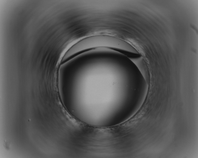 X0000091980816200709131411