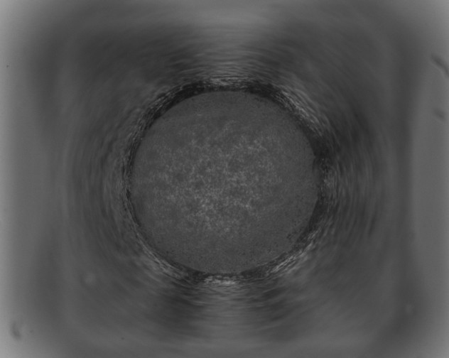 X0000091980817200709131410