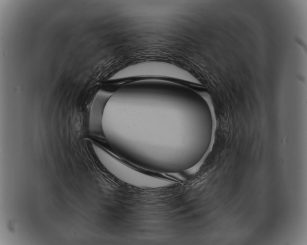 X0000091980818200709131410