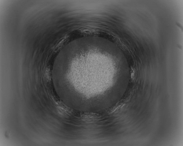 X0000091980819200709131410