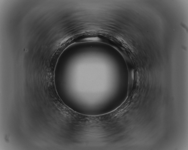 X0000091980822200709131410