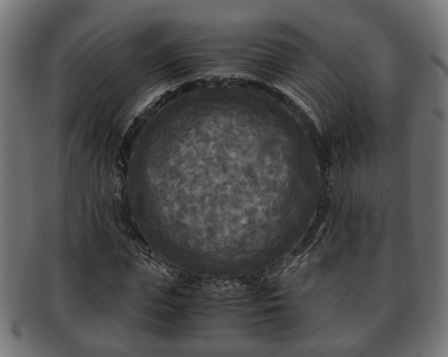 X0000091980823200709131410