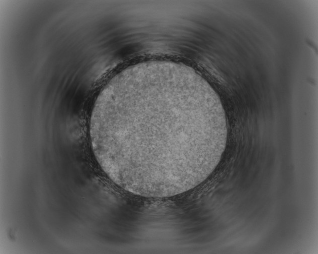 X0000091980824200709131410