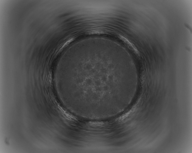 X0000091980825200709131410