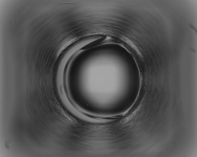 X0000091980826200709131410