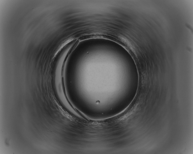 X0000091980827200709131410