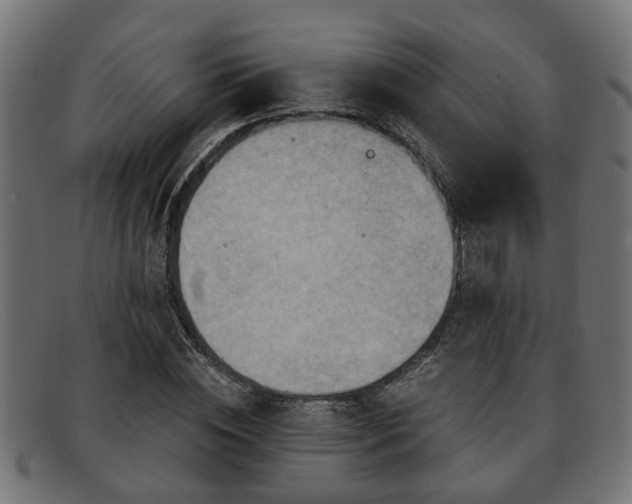 X0000091980828200709131410