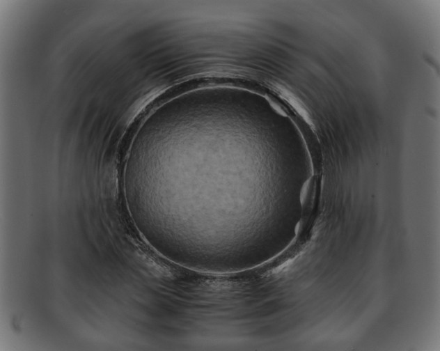 X0000091980829200709131410