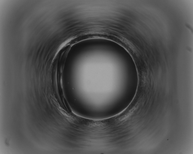 X0000091980830200709131410