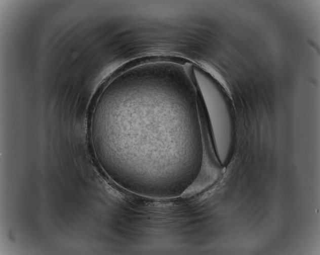 X0000091980831200709131410