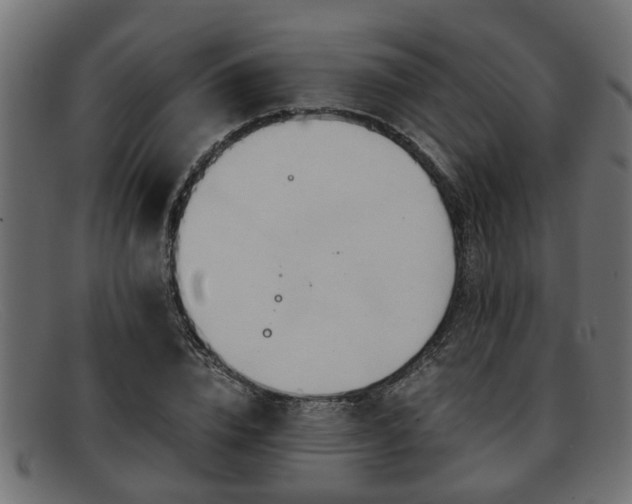 X0000091980832200709131410