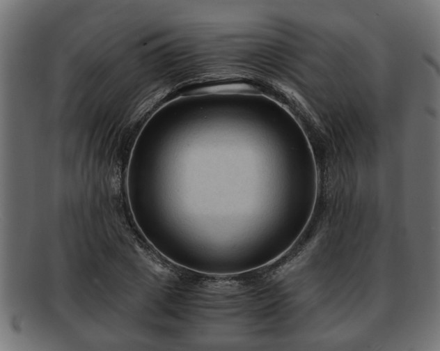 X0000091980833200709131410