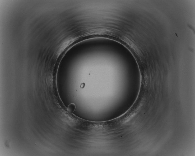 X0000091980834200709131410